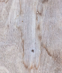 we can repair wood corrosion